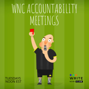 WRITE NOW CLUB Accountability in your writing